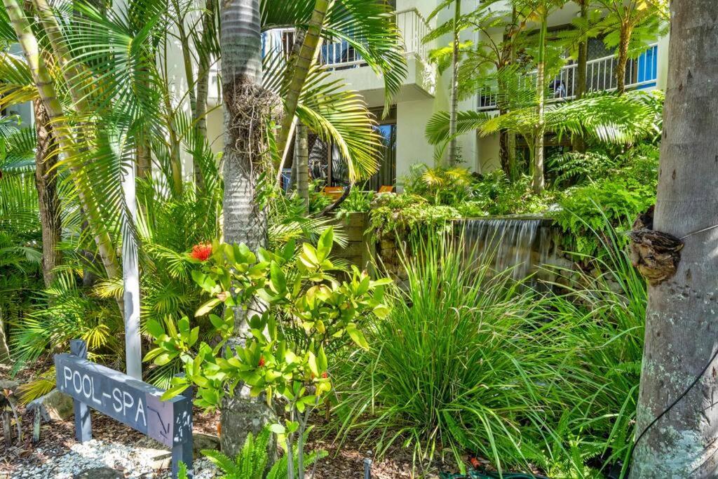 Coco Bella Dream In Surfers Paradise Gold Coast Eksteriør bilde